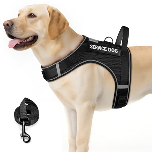 FAYOGOO Service Dog Vest for Large Dogs - Air Mesh Breathble Emotional Support Animal Vest with DIY Removable Patches - Do...