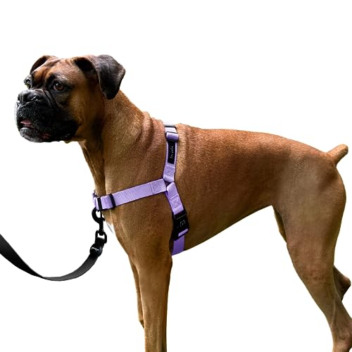 ShawnCo Dream Walk No-Pull Dog Harness- Adjustable, Comfortable, Easy to Use Pet Halter to Help Stop Pulling for Small, Me...