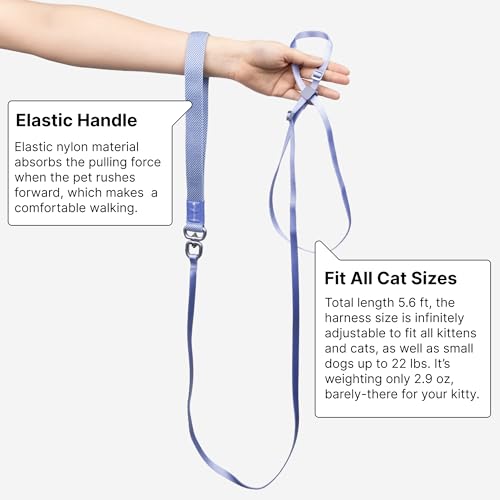 BuddyArmor Cat Harness and Leash 2-in-1, Escape Proof Anti-Chocking Harness Adjustable Lighweight Leash for Walking Outoor...