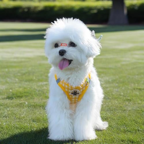 Soft Mesh Dog Harness and Leash Set, Step-in Escape Proof Vest Harnesses, Reflective Breathable Pet Harness Adjustable Pla...