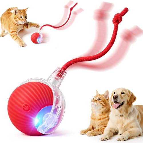 SilveWillo Interactive Electric Automatic Rolling Moving USB Rechargeable Self Activated Play Stimulation Toy Smart Chase ...