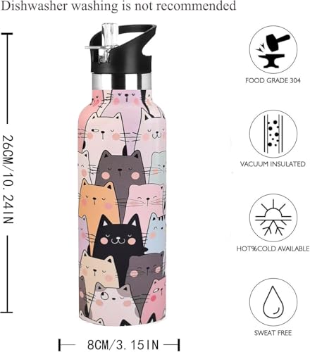 Cat Water Bottle Adult Kids With Straw Lid Insulated Stainless Steel Travel Mugs for Sport Gym Outdoor 20oz