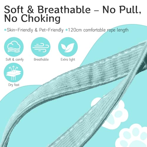 Cat Harness and Leash Set - Breathable Adjustable Soft Vest for Cats, Escape Proof Kitten Harness for Easy Control and Dai...