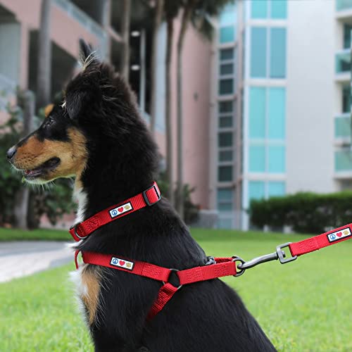 Pawtitas Solid Step-in Dog Harness – Adjustable No-Pull Vest for Puppies to Seniors, Safe & Comfortable XS Black