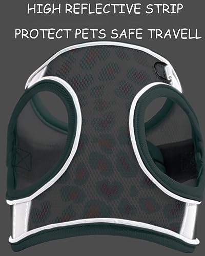 Aecllcea Dog Harness for Small Medium Dogs No Pull, Cat Harness and Leash Set, Step in Puppy Harness. (Green, S)