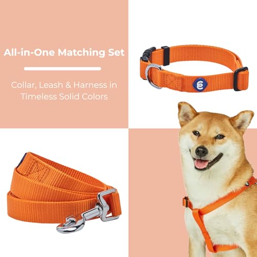 Blueberry Pet Essentials Dog Harness and Leash Set - Large Orange Vermilion Dog Collar and Leash Set for Eco-Conscious Own...