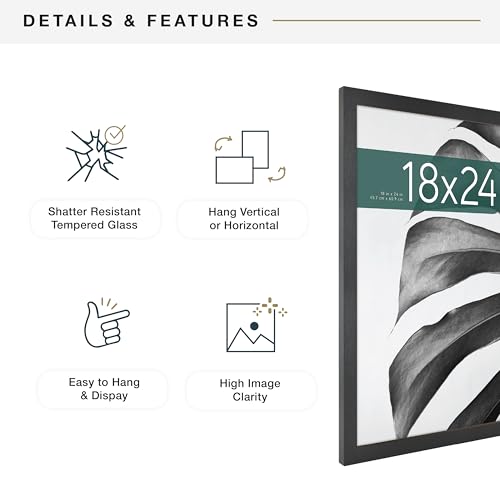 MCS Studio Gallery 18x24 Poster Frame Black Woodgrain Engineered Wood, Vertical & Horizontal Wall Hanging Large Picture Fr...