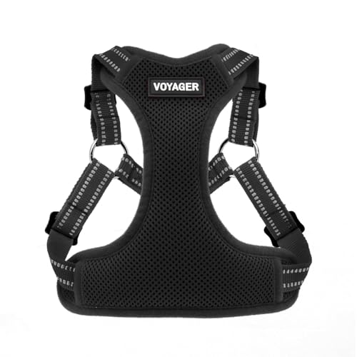 Best Pet Supplies Voyager Adjustable Step-in Flex Breathable Mesh Dog Harness for Small Medium Large Dogs (Black), M