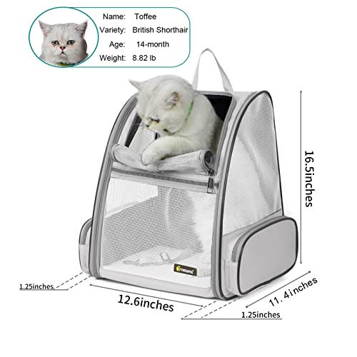 Texsens Pet Backpack Carrier for Small Cats Dogs | Ventilated Design, Safety Straps, Buckle Support, Collapsible | Designe...