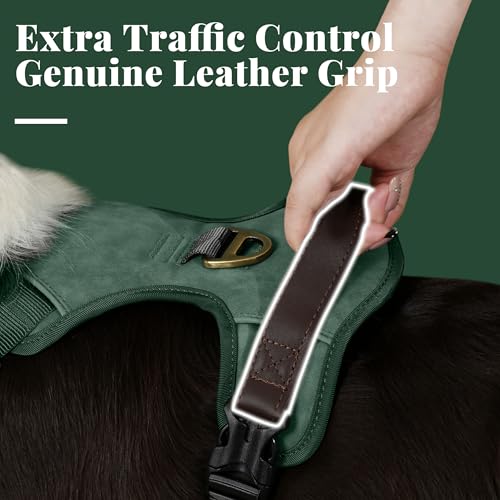 Didog No Pull Dog Harness Small Sized Dog,Classic PU Leather Vest for Small Dogs with Easy Control Handle,No Choke Front C...