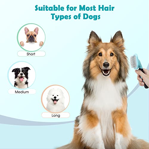 PETPAWJOY Slicker Brush, Dog Brush Gently Cleaning Pin Brush For Shedding Dog Hair Brush For Small Dogs Puppy Yorkie Poodl...