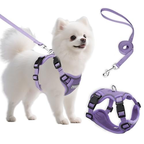 Ychpaw Small Dog Harness and Leash Set, Reflective Soft Breathable Mesh Vest, 3 Buckles, Adjustable Neck and Chest,Step in...