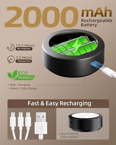 EZVALO Picture Lights for Wall, 2000mAh Rechargeable Battery Magnetic Poster Lights with 3 Color Temps & 12 RGB, Remote Di...