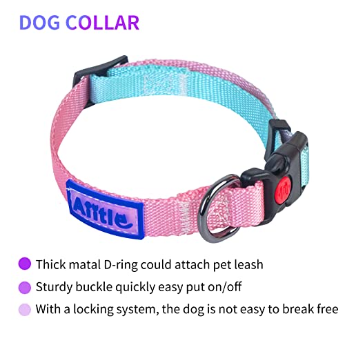 AIITLE No Pull Dog Harness & Leash & Collar - Adjustable Basic Collar with A Heavy Duty Leash - Super Sturdy Buckle and D ...