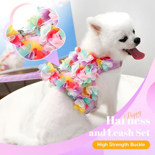 TENGZHI Cute Small Dog Harness and Leash Set Purple Lace Floral Girl Puppy Harness for Small Dogs Cats Soft Mesh Dog Vest ...