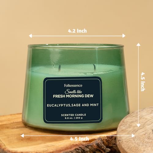 Folkulture Spring Candles for Home Scented – 8.8 Oz | Eucalyptus, Mint & Sage Candles for Cleansing |Non Toxic,Soy Wax,Lon...