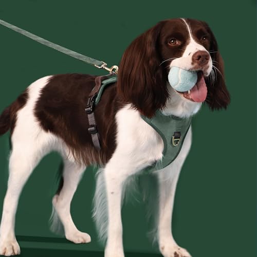 Didog No Pull Dog Harness Small Sized Dog,Classic PU Leather Vest for Small Dogs with Easy Control Handle,No Choke Front C...