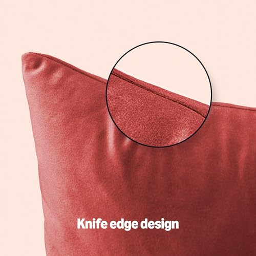Amazon Basics Velvet Throw Pillow Covers, Soft Decorative Square Cushion Cases Modern Home Decor for Sofa, Couch, Bed, 18...
