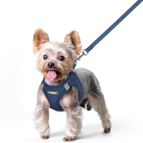rabbitgoo Dog Harness Small Sized and Leash Set, Step in Soft Light Puppy Vest, Breathable Mesh Pet Harness, Reflective fo...