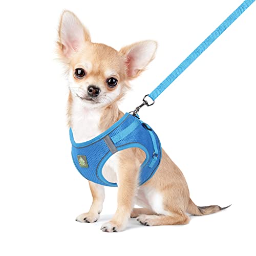 FEimaX Dog Harness and Leash Set, No Pull Breathable Soft Mesh Puppy Vest Harness Reflective Adjustable Pet Harnesses for ...