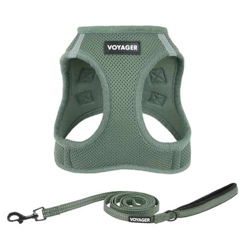 Best Pet Supplies Voyager Step-in Air All Weather Mesh Harness and Reflective Dog 5ft Leash Combo with Neoprene Handle, fo...
