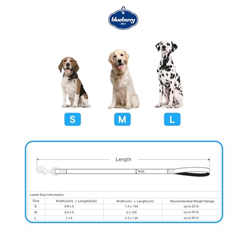 Blueberry Pet Dog Harness and Leash Set, Puppy Essentials for Large Dogs, Medium Sized Dogs, and Puppies, Reflective Dog C...