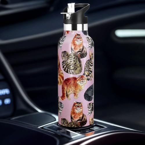 Xinvast Cat Water Bottle Adult Kids With Straw Lid Insulated Stainless Steel Travel Mugs for Sport Gym Outdoor 20oz