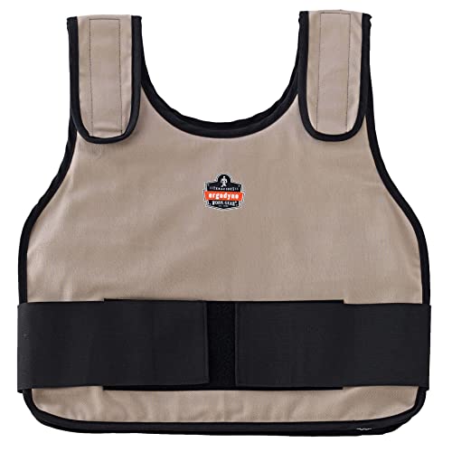 Cooling Vest with 2 Ice Packs, Instant Cooling Relief, Flexible Design, Ergodyne Chill Its 6230