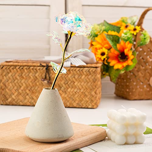 LOVEINUSA Artificial Galaxy Rose Flower Gifts, Galaxy Eternity Rose Glass Forever Flowers for Mom from Daughter/Son, Birth...