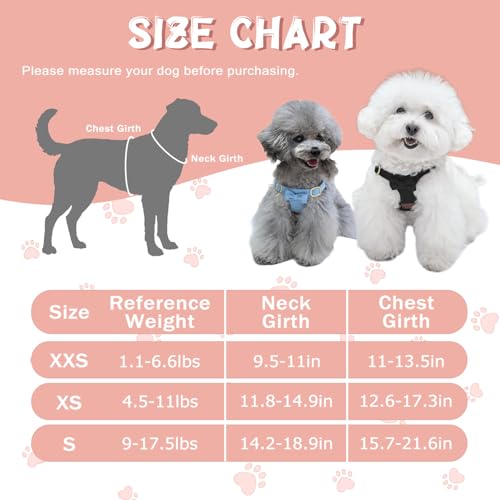 Guiding Star Dog Harness Small Sized Dog with Multifunction Leash, No Pull Puppy Dog Harness and Leash Set Training, Cute ...