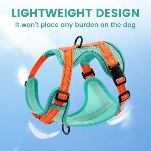 PAWDAY No-Pull Dog Harness with Dog Leash Breathable Mesh Adjustable Soft Padded Pet Vest Reflective for Small/Medium/Larg...