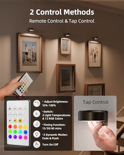 EZVALO Picture Lights for Wall, 2000mAh Rechargeable Battery Magnetic Poster Lights with 3 Color Temps & 12 RGB, Remote Di...