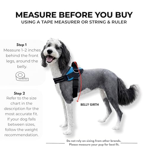 ShawnCo Essential Dog Harness, No-Pull Pet Vest with 3 Leash Clips, No Choke, Reflective, Adjustable and Padded, for Easy ...