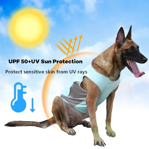 UNIPUP UPF 50+ Sun Protection Dog Shirt for Medium Large Dogs - Breathable Sleeveless Vest with Reflective Strips, Sports ...