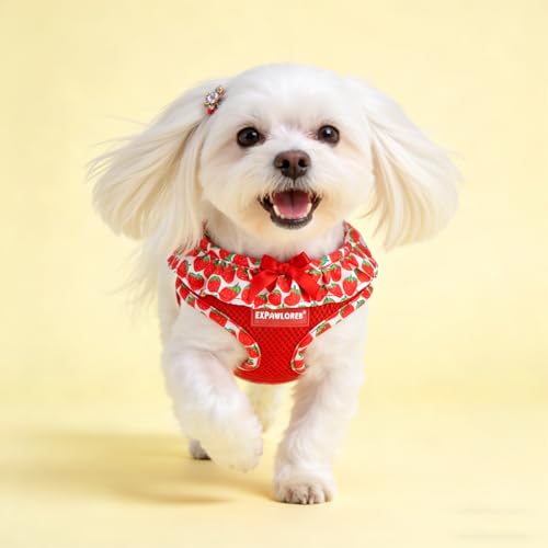 EXPAWLORER Cute Dog Harness Collar Leash Set - Red Girl Dog Harness Checkered Step-in Design, Adjustable No-Choke Lightwei...