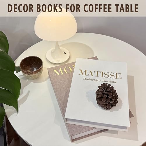 RolenBox Decorative Books for Home Decor, Coffee Table Decor with Linen White Books Stack Bookshelf, Fake Book Double as L...