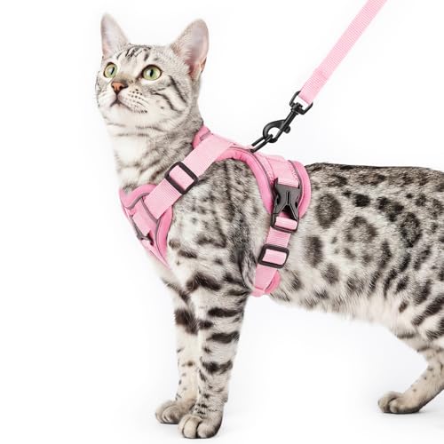 pangdi Cat Harness and Leash Set Escape Proof Tactical Extra Large Kitten Harness Emotional Support Cat Vest, Pink, XXL