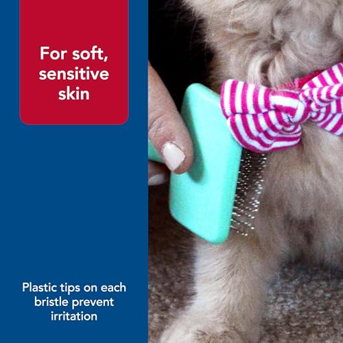 Coastal Pet Li'l Pals - Kitten Slicker Brush with Coated Tips