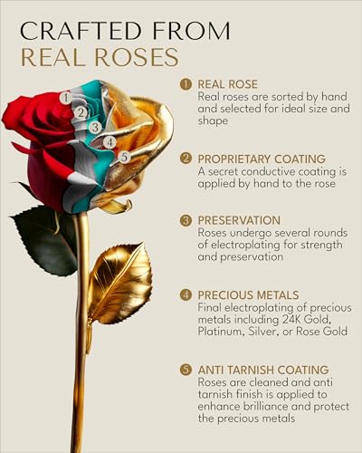 Forever Rose 24K Gold Dipped Real Rose – Handmade, Long-Lasting Preserved Flower in Glass Vase & Gold Box, Romantic Gift f...