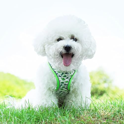 Step in Dog Harness and Leash Set, Flower Adjustable Easy Walk Puppy Harnesses, Soft Mesh Pet Vest Harness Small Size Dog ...