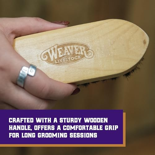 Weaver Livestock Barn Brush, Wooden Grooming Brush for Goat, Sheep, Pigs, Cattle, Stiff Bristles for Dirt Removal, Show An...