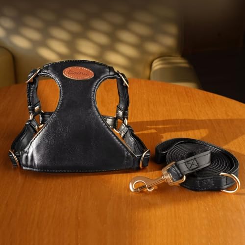 Beirui ‌Stylish PU Leather Dog Harness‌ and Leash Set for Small Dogs, ‌Adjustable Step in Puppy Harness with Breathable Me...