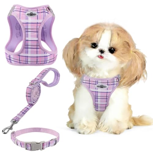 Gyuzh Dog Harness and Leash Set for Puppies - 3 Piece Step in No Pull Vest & Collar, Extra Small Kitten Harness, Breathabl...