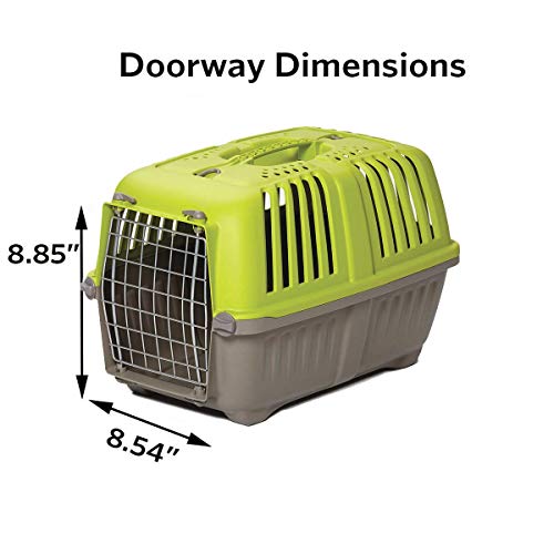 MidWest Homes for Pets Spree Travel Carrier – Hard-Sided Dog & Cat Carrier, Small Pet Travel Crate with Handle, Ventilated...