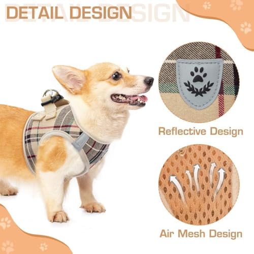 KOOLTAIL Dog Harness for Small Medium Dogs,Dog Harness and Leash Set, Step in No Pull Soft Mesh Padded Adjustable and Refl...