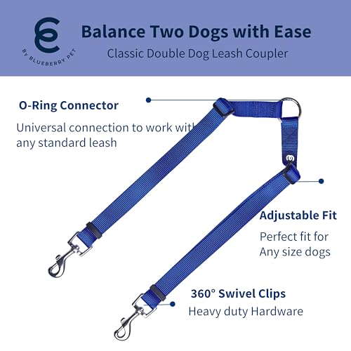 Blueberry Pet Essentials Durable Classic Double Dog Leash Coupler, Royal Blue, Small, Dual Walking & Training Leashes for ...