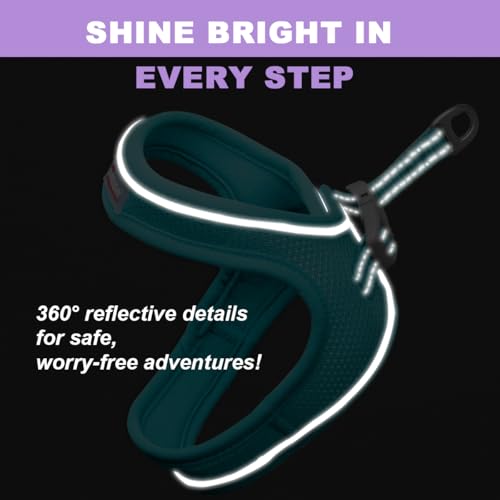 Cat Harness and Leash Set,Escape Proof Kitten Harness,Step in Adjustable Soft Lightweight,Easy Control,Reflective Strips C...