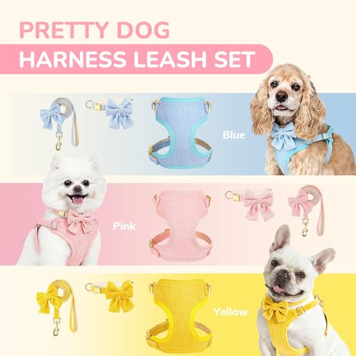 Small Dog Collar Harness and Leash Set, Dog Harness no Pull with Bowtie, Breathable Cotton Adjustable Pet Puppy Harness, E...