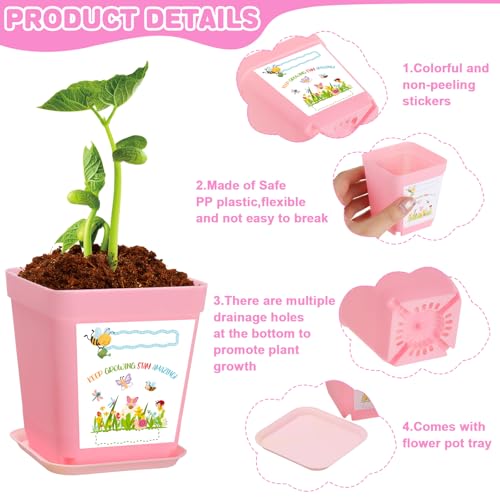 50 Sets Garden Flower Pots Crafts Kit Spring Planting Pot with Pots Trays Wildflower Seed Packets Seed Not Included Sticke...