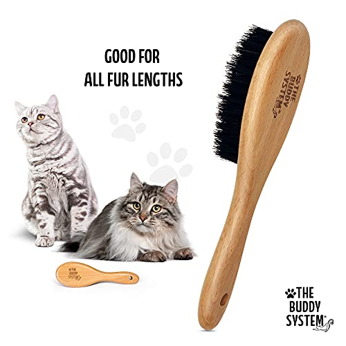 The Buddy System Cat Brush with Boar Bristle and Wooden Handle, Professional Grade Daily Grooming Hairbrush, Reduce Sheddi...